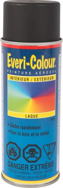 Spray Paint Flat Black Lacquer